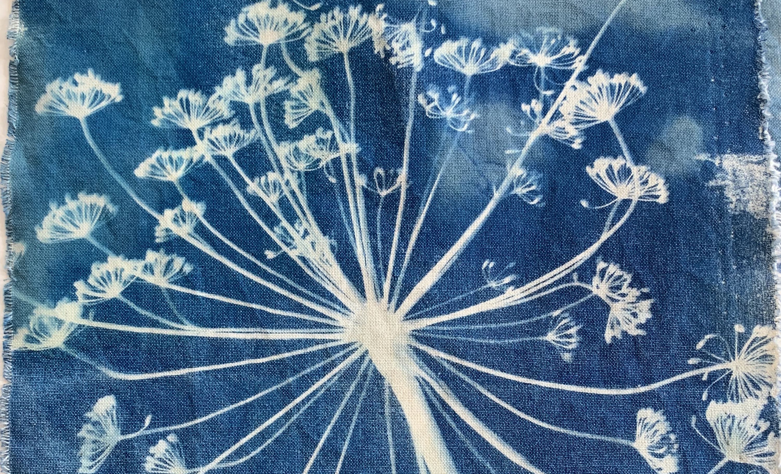 cyanotype-blauwdruk-hawar