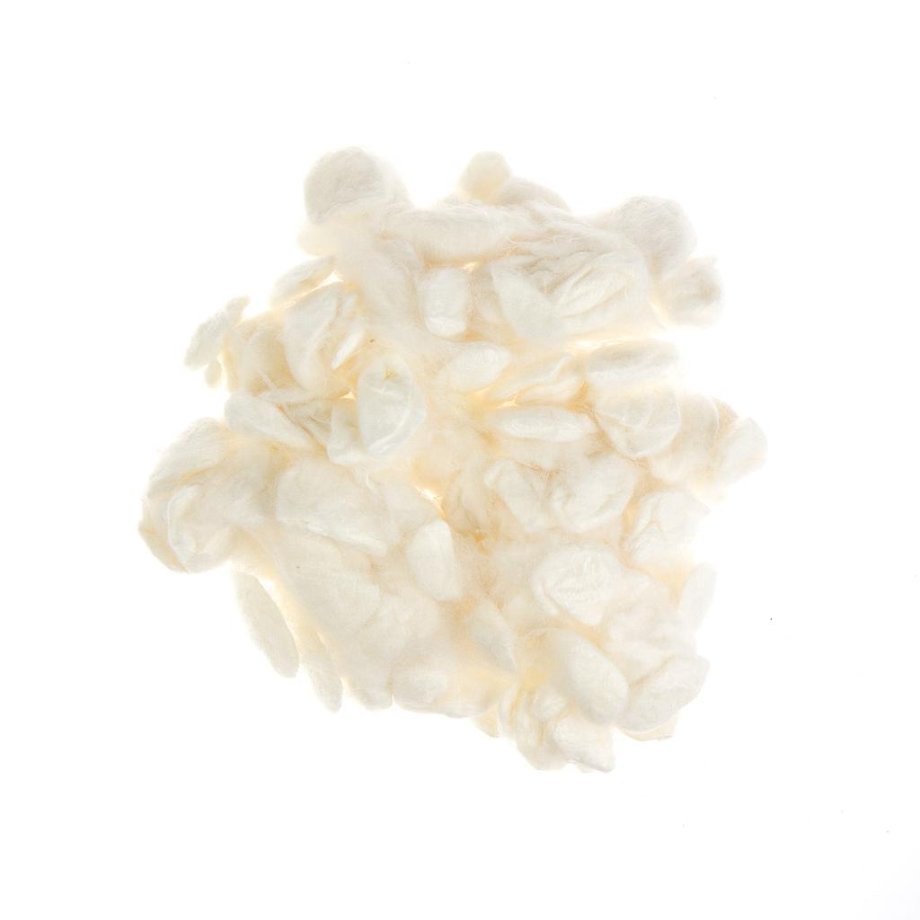 Zijdecocons zacht wit (Oliver Twist silk degumed)