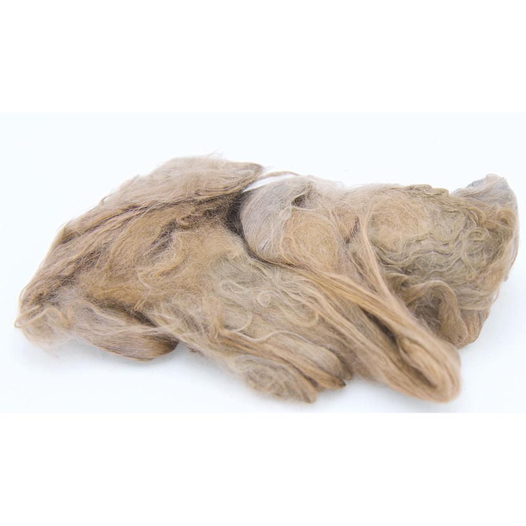  Silk tops gekleurd Oliver Twist