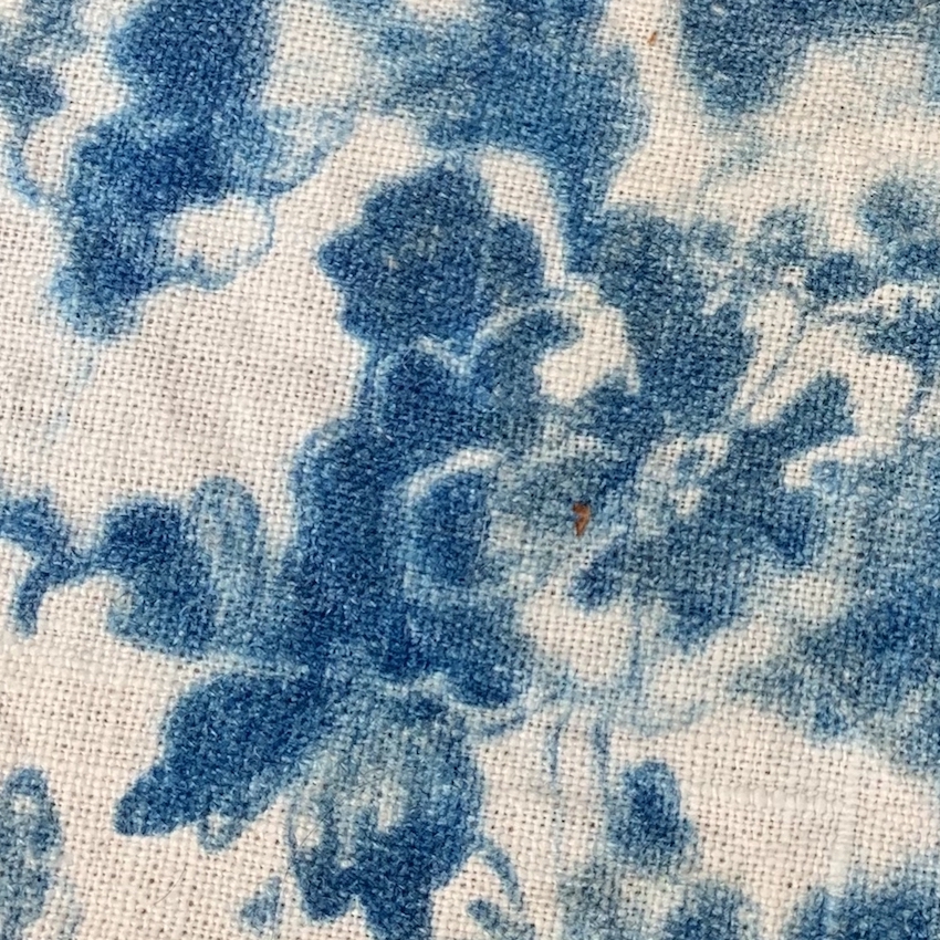 Workshop: cyanotype