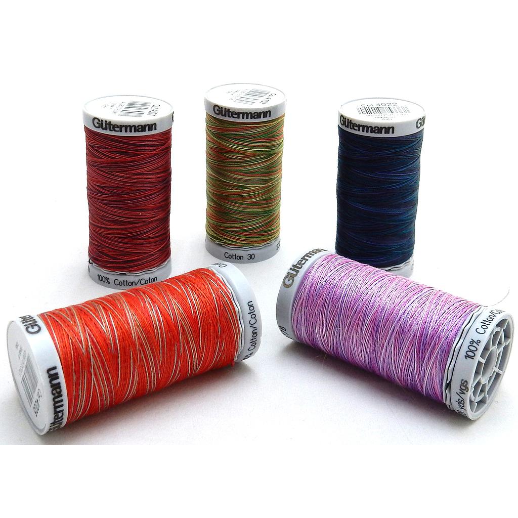 Borduurgaren Katoen Sulky Gütermann