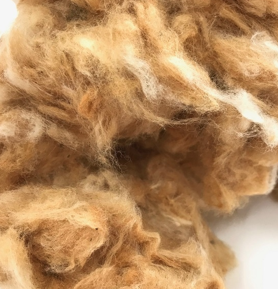 Bio Katoen vezels natuurlijke kleur