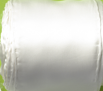 Zijdeband Crêpe Satijn 12,5